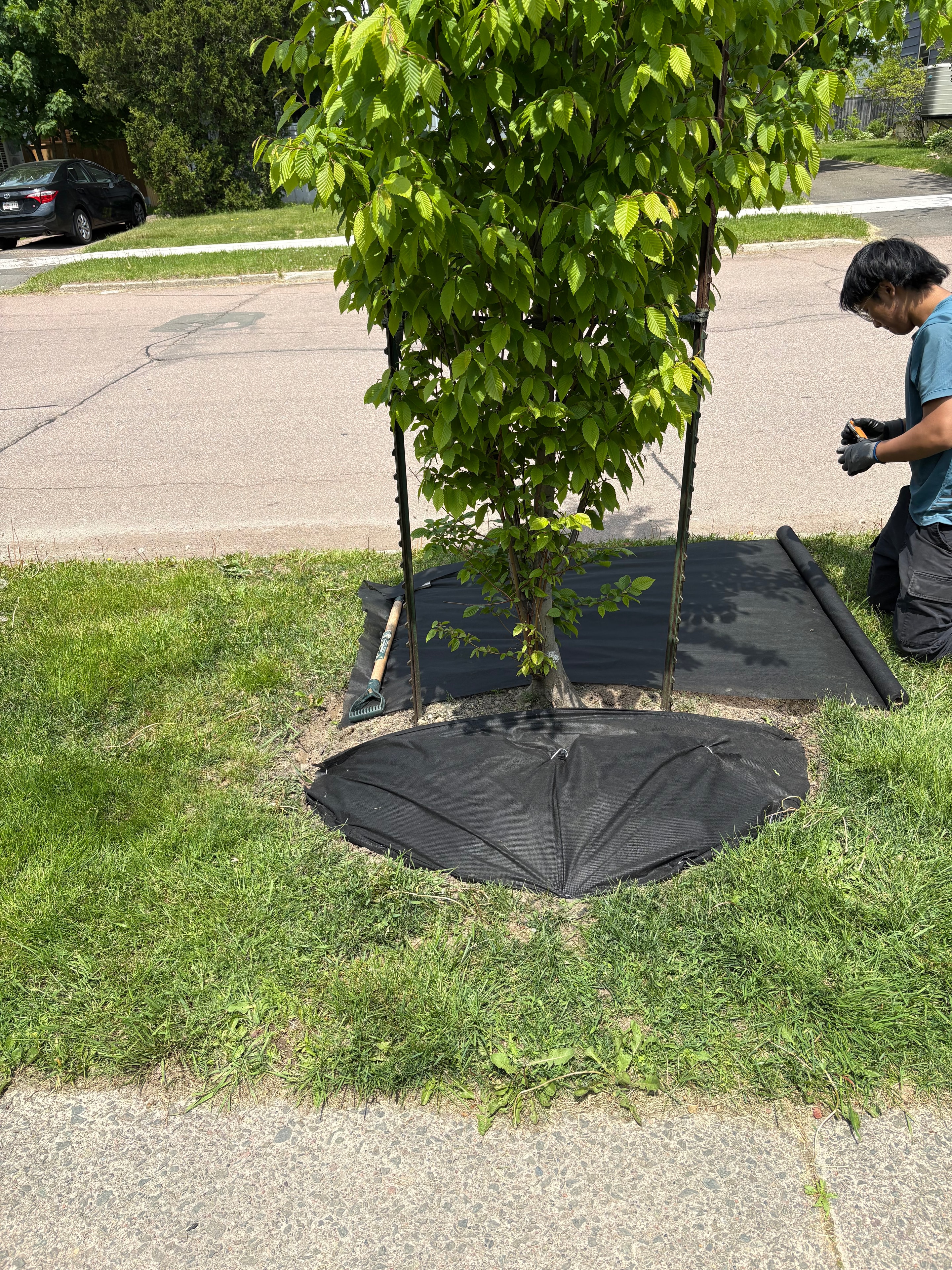 Professional landscaping design and installation