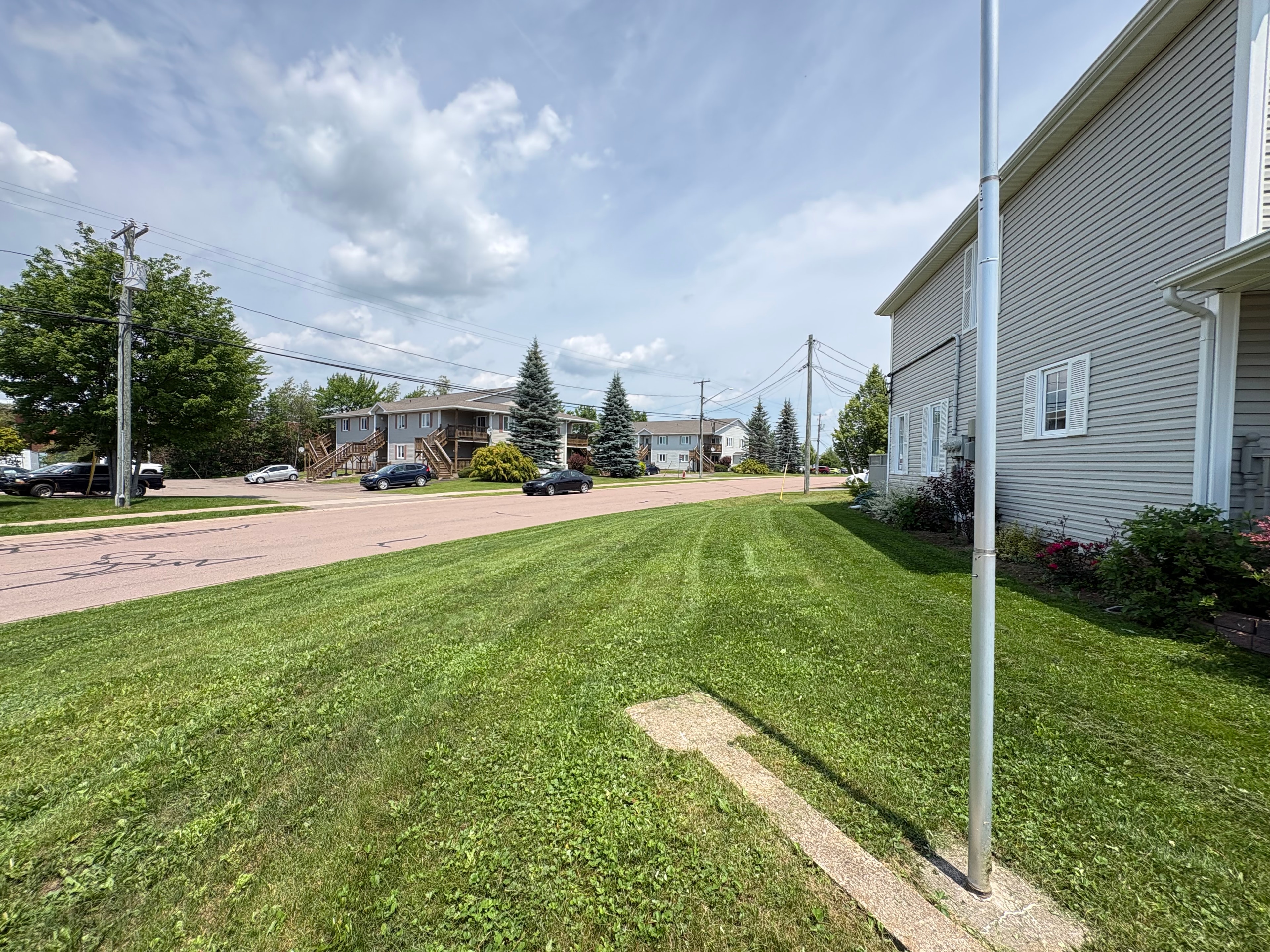 Professional lawn care and mowing services